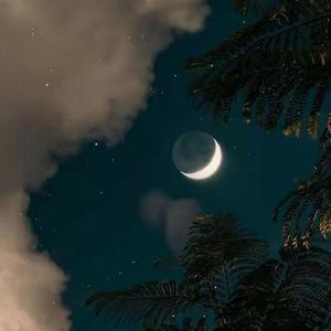 理由（cover赵紫骅）