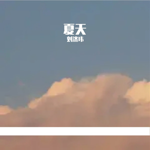 整个夏天