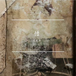 绍兴（2026）
