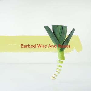 Barbed Wire And Roses (Complete version originally performed by Pinmonkey)
