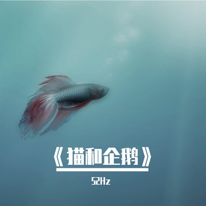 猫和企鹅（ProdSiren）