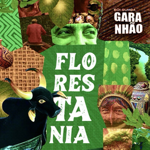 Sinhazinha do Boi Garanhão