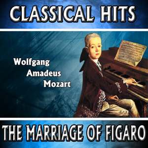 The Magic Flute, K. 620: Dies Bildnis Ist Bezaubernd Schön