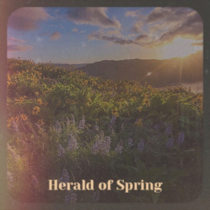 Sad Piano Documentary