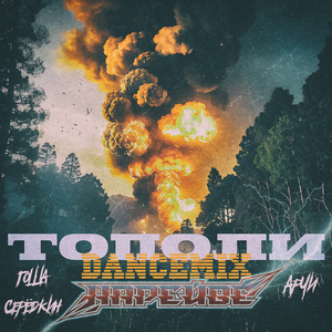 Тополи (Remix)