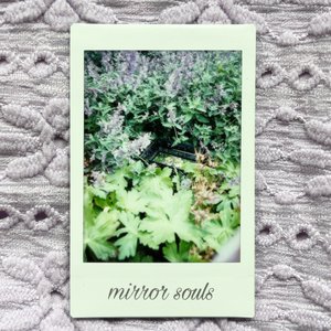 Mirror Souls