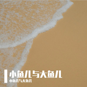 迷雾中的光 伴奏