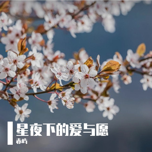 星夜下的爱与愿