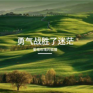 逆风也要向前飞