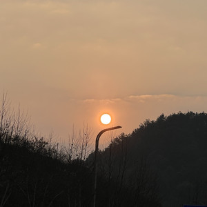 想念（音乐人版）