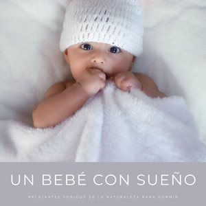 Sueños De Bebé