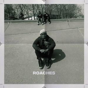 Roaches