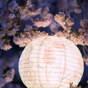 隔岸.（女声完整版）