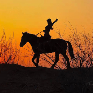 《献给2026的你》