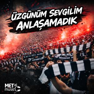 Üzgünüm Sevgilim Anlaşamadık