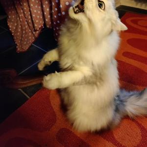 Vuoto (Tono di Voce per Dante)