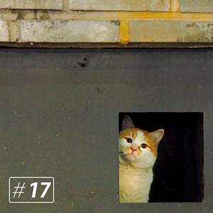 그럴 리가 없지 (feat. 이시몬)