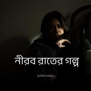 নীরব রাতের গল্প