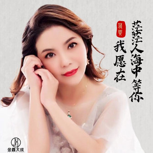 我愿在茫茫人海中等你 (伴奏)