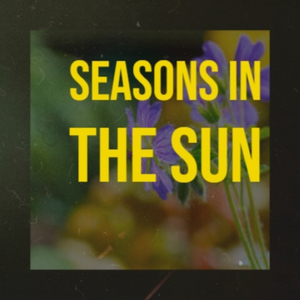 Don't Let That Happen To Us