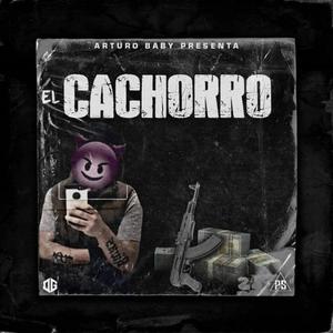 El Kachorro