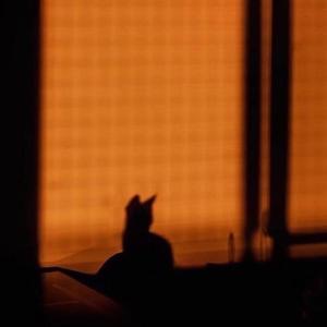 带我去找夜生活