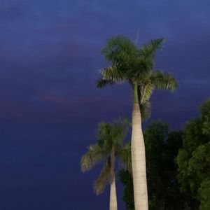 Bloom(Prod.Def Starz)