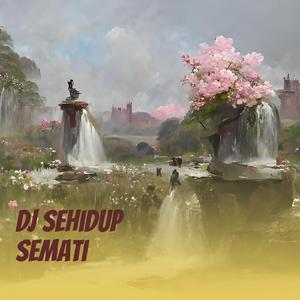 Dj Sehidup Semati