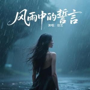 风雨中的誓言 (广场舞)