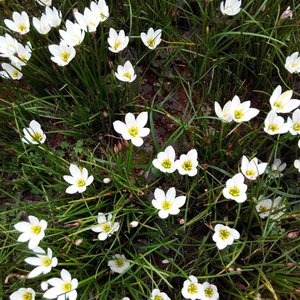 凌晨哭红的双眼