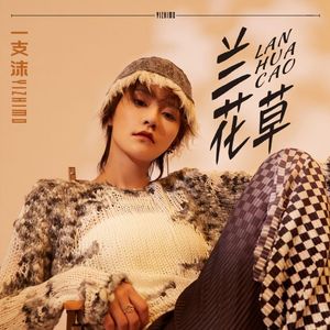 兰花草（摇滚DJ迷城）