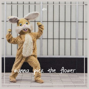 wanna pick the flower
