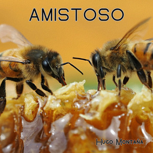 Amistoso