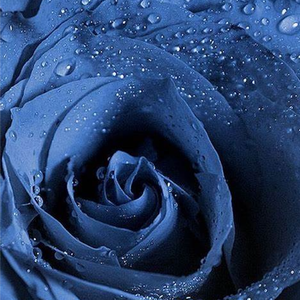 내꺼하자 (Be Mine)(RTK ver.)（翻自 INFINITE）