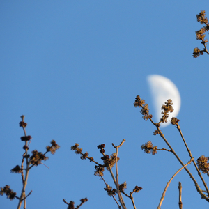 5월의 마지막 밤
