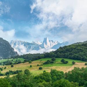 安静修心养生（放松纯音乐）