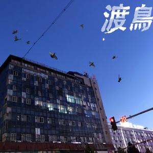 海风-渡鸟(Remix)