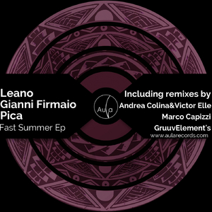Fast Summer (GruuvElement's Remix)