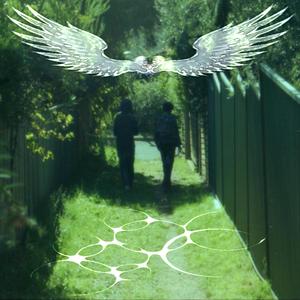 a dream that watches