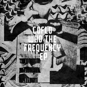 Who The Frequency (Radio Edit)