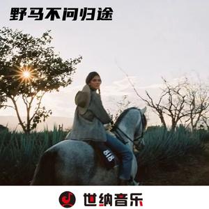 M-E-V-E-I (DJ弹鼓)