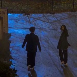 夜幕低垂星光闪耀