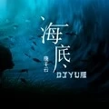 海底 (DJ版)