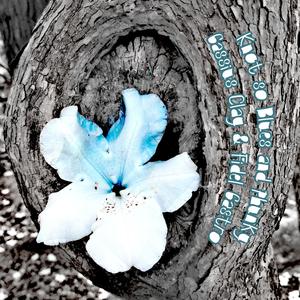 Knot so blues and phunky