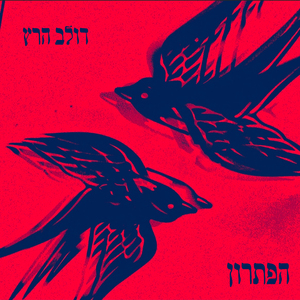 הפתרון