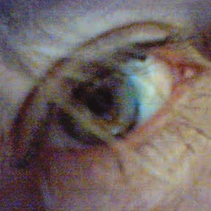 In Awe of a Painting