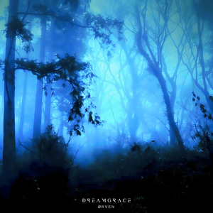 Dreamgrace (Slowed)