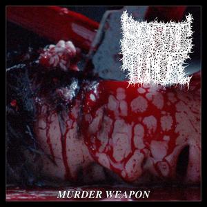 Grotesque Conglomerate of Pustulating Still-Born Fetus' Due to Improper Disposal After Botched Autopsy