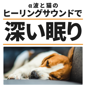 愛犬のリラックス時間