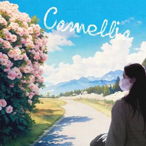 山茶（Camellia）